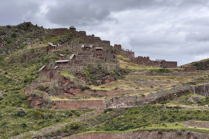Sacred valley short